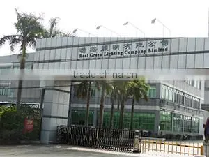 Jiangmen Real Green Lighting Company Limited company overview - view 1 thumbnail