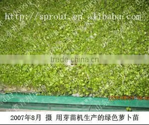 Hot Selling Automatic Barley Sprouting Machine China thumbnail-5
