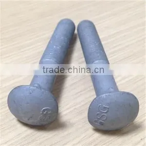 Carriage Bolts Din 603 HDG Color thumbnail-4