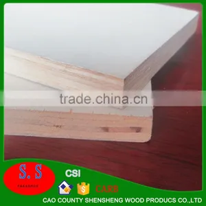 Latest Product of China 9mm-24mm Film Faced Plywood thumbnail-4