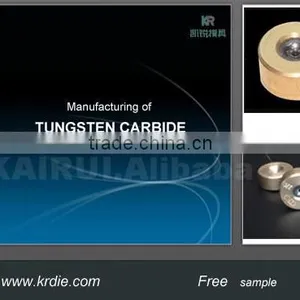 Tungsten Carbide Dies for Wire DrawingngDie thumbnail-1