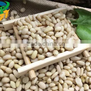 2015 Top Quality Pine Nut Kernels for Sales thumbnail-1