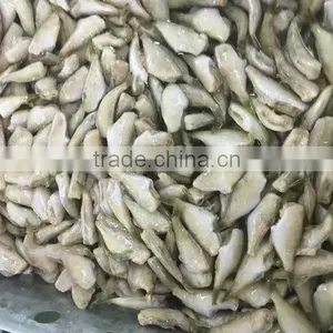 Filefish Good Packing Frozen Leather Jacket Fillet Fish thumbnail-1