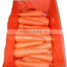 Red Carrot thumbnail-1