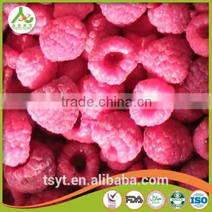 Golden Supplier of Top Quality IQF Frozen Raspberry thumbnail-3