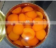 Canned Apricot in Light Syrup Canned Fruit thumbnail-1