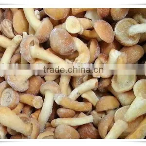 Health Product/nourishment Food /china Food Mushroom thumbnail-3