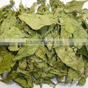 Dry Stevia Leaves thumbnail-1