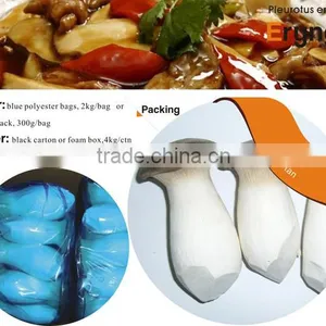 Dried Pleurotus Eryngii Mushroom Manufacturer in China thumbnail-4
