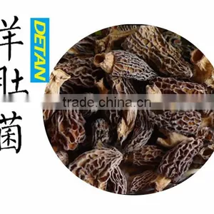 Dried Morchella Esculenta Made in China thumbnail-5