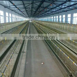 Pullet Cages thumbnail-1