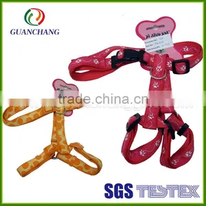 Hot New Women Who Engage in Dog Pet Products 2015 thumbnail-4
