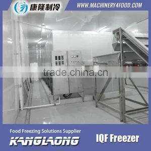High Quality IQF Coconut Machine With Good Price thumbnail-1