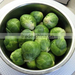 Verisimilar Plastic Vegetable thumbnail-1