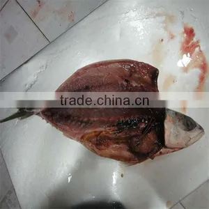 Frozen Pacific Mackerel(cut) thumbnail-1