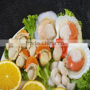 Frozen Scallops Adductor thumbnail-1