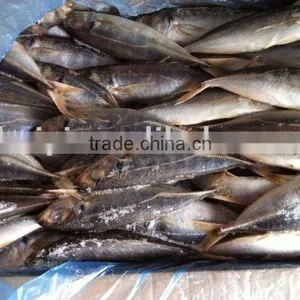 Frozen Horse Mackerel(7-8) thumbnail-1