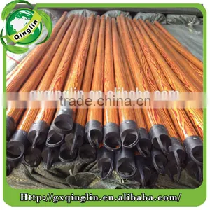 Eucalyptus Broomstick thumbnail-3