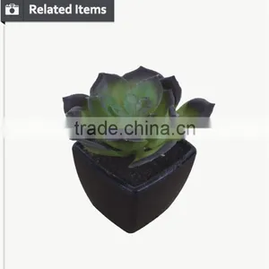 Mini Decorative Home and Office Table Potted Succulent Plant thumbnail-5