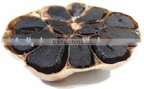 Many Heads Black Garlic P.E.--HC Company thumbnail-1