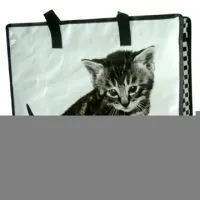 Sell PP Shopping Bag thumbnail-1