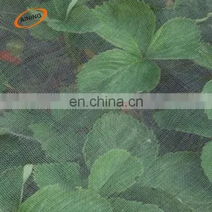 120gsm 135gsm 40 Mesh 50 Mesh Anti Insect Netting in Malaysia thumbnail-2