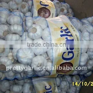 Chinese Fresh Pure White Garlic in Sacks thumbnail-1