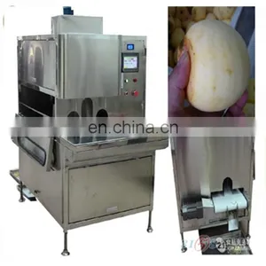 High Speed Kiwi Peeling Machine thumbnail-4