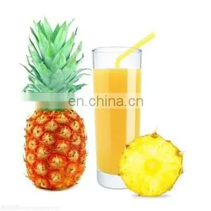 Industrial Juice Making Plant/Small Scale PET Bottle Juice Hot Filling Machine/Concentrate Fruit Juice Production Complete Line thumbnail-3