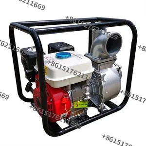Water Pump/Gasoline Water Pump/Petrol Water Pump /Gasoline Engine Ql-30 10 Top10 in Movers & Shakers Engine Management thumbnail-1