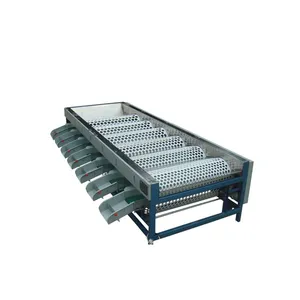 Cherry Selecting Machine/roller Dates Grading Machine /fruit Selecting Machine for Apricot/cherry /plum thumbnail-2