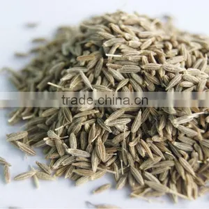 Cumin Seeds thumbnail-1