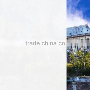 Building Glass Film Light Diffusing Window Film thumbnail-4