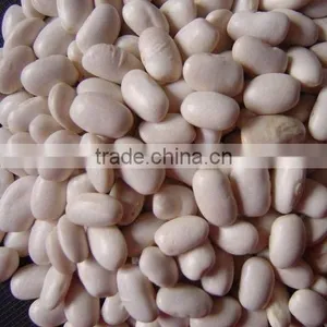 Bean thumbnail-1