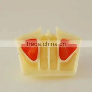 Dental Teaching Model,Human Dental Teaching Models,Dental Implant Model thumbnail-1
