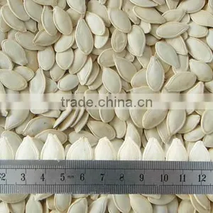 2015 Crop Shine Skin Pumpkin Seeds,10mm 11mm 12mm thumbnail-1