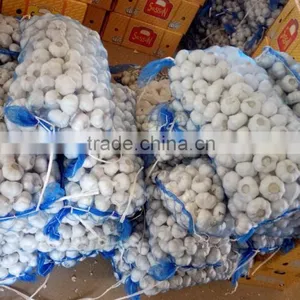 2016 Cheap White Garlic thumbnail-1