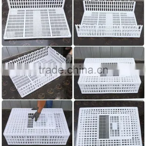 New Polyethylene China White Quail Cages for Sale thumbnail-5