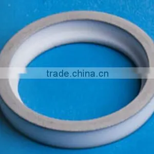 Metalized Ceramic Tubes & Rings thumbnail-1