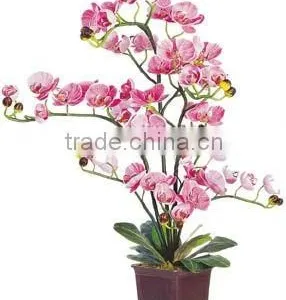 Artificial Flower-Butterfly Orchid thumbnail-1