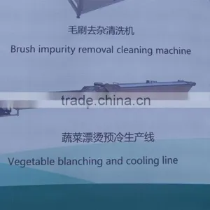 Beetroot Fruit and Vegetable Processing Line/fruits Vegetables Processing Line thumbnail-1