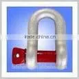 High Quality Square Head Dee Shackle thumbnail-4
