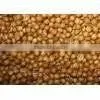 Coriander Seeds Bulgarian Origin thumbnail-1