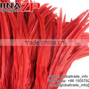 Gold Supplier ZPDECOR Decorative 40-45cm Length Red Chicken Fully Dyed Roosters Feathers for Sale thumbnail-4