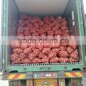 Superior Fresh Red Onion From Onion Exporters China thumbnail-2