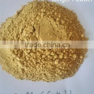 Grade A Ginger Powder From Chinese Factory Low Price thumbnail-2