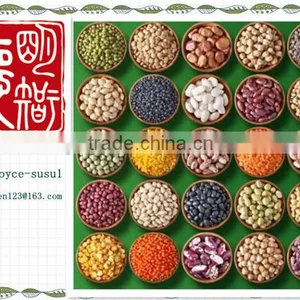 Kidney Beans 2014 New Crop; thumbnail-1