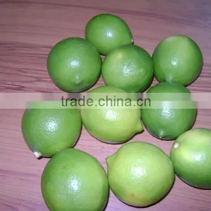 Fresh Lime thumbnail-1