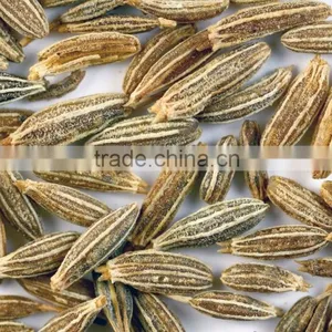 Cumin Seed thumbnail-1