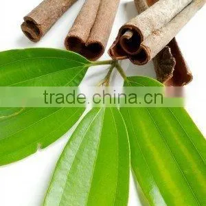 Cinnamon Leaf Oil thumbnail-3
